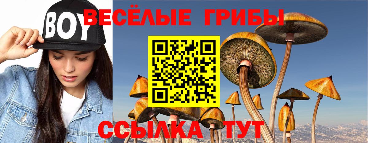 Топки  Псилоцибиновые грибы прущие грибы  Вход с VPN 